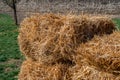 Fresh straw hay bales, food for cattle Royalty Free Stock Photo