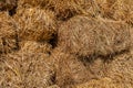 Fresh straw hay bales, food for cattle Royalty Free Stock Photo