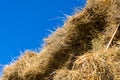 Fresh straw hay bales on the trailer Royalty Free Stock Photo