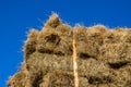 Fresh straw hay bales on the trailer Royalty Free Stock Photo