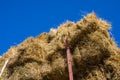 Fresh straw hay bales on the trailer Royalty Free Stock Photo