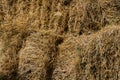 Fresh straw hay bales on the trailer