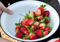 Fresh strawbarries in white bowl