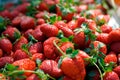 Fresh strawberries Royalty Free Stock Photo