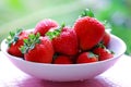 Fresh strawberries Royalty Free Stock Photo