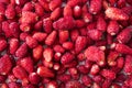 Fresh strawberries background. Background of wildberries. Ripe wild strawberry. Texture wild strawberries close up. Top view. Royalty Free Stock Photo