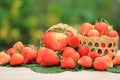 Fresh strawberries in a baske on the table blurred natural green background with copy space Royalty Free Stock Photo