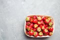 Fresh strawberries in a basket, red berry, only from a garden bed. sweet harvest. space for text, copyspace Royalty Free Stock Photo