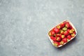 Fresh strawberries in a basket, red berry, only from a garden bed. sweet harvest. space for text, copyspace Royalty Free Stock Photo