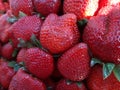 Fresh Strawberries . Big Strawberry Decorate.