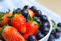 Fresh strawberries and blueberries Royalty Free Stock Photo