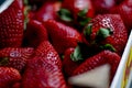 Fresh strawberries box Royalty Free Stock Photo