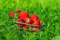 Fresh strawberries in a cart on the background of nature. Happy shopping concept. Summer background. Free advertising space