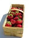 Fresh strawberries in a chip basket against a white background Royalty Free Stock Photo