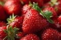 fresh strawberries close-up Royalty Free Stock Photo