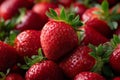 fresh strawberries close-up Royalty Free Stock Photo