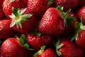 fresh strawberries close-up Royalty Free Stock Photo