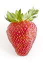 Fresh strawberries closeup Royalty Free Stock Photo