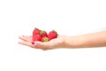 Fresh strawberries closeup Royalty Free Stock Photo