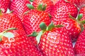Fresh Strawberries Closeup Royalty Free Stock Photo