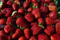 Fresh strawberries closeup Royalty Free Stock Photo