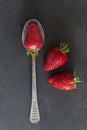 Fresh strawberries on a dark background. Top view and copy space. Strawberry on a spoon. Royalty Free Stock Photo