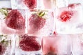 Fresh strawberries frozen in ice cubes - Close up Royalty Free Stock Photo