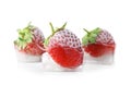 Fresh strawberries frozen in ice cubes Royalty Free Stock Photo