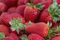 Fresh Strawberries fruits close up background, species Fragaria ananassa cultivated worldwide. Royalty Free Stock Photo