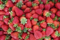 Fresh Strawberries fruits close up background, species Fragaria ananassa cultivated worldwide. Royalty Free Stock Photo