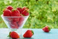 Fresh strawberries in a glass bowl on the blue kitchen table on the blurred nature background. Tasty vegan dessert Royalty Free Stock Photo