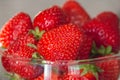 Fresh strawberries in glass bowl. Ripe strawberry closeup. Sweet summer harvest. Juicy dessert. Healthy food. Red berries in vase. Royalty Free Stock Photo