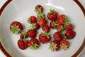 Fresh strawberries with green calyx on a plate