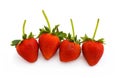 Fresh strawberries Royalty Free Stock Photo