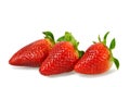 Fresh strawberries isolated on white Royalty Free Stock Photo