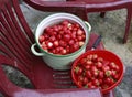 Fresh strawberries for jam preparation Royalty Free Stock Photo