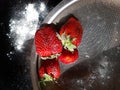 Fresh strawberries in a large metal sieve. with powdered icing sugar on a dark background. Royalty Free Stock Photo