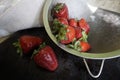 Fresh strawberries in a large metal sieve. with water splash and drops on a dark background.