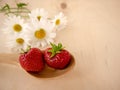 Fresh strawberries lie in a wooden spoon. Next to it are camomile flowers on a light wooden background Royalty Free Stock Photo