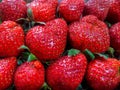 Fresh Strawberries look so cute