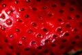 Fresh strawberries. Macro Close-up ripe fresh tasty organic strawberry background. Fresh red berry wallpaper. Royalty Free Stock Photo