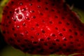 Fresh strawberries. Macro Close-up ripe fresh tasty organic strawberry background. Fresh red berry wallpaper. Royalty Free Stock Photo