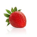 Fresh strawberries macro Royalty Free Stock Photo
