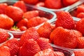 Fresh strawberries on a market Royalty Free Stock Photo