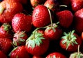 Fresh strawberries in market