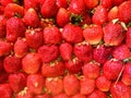 fresh strawberries natutal Royalty Free Stock Photo