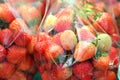 Fresh strawberries packaging in plastic bag. Royalty Free Stock Photo