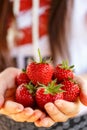 Fresh strawberries picked from a strawberry farm Royalty Free Stock Photo