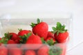 Fresh strawberries in a plastic container