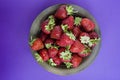Fresh strawberries in a plate on a dark purple background Royalty Free Stock Photo